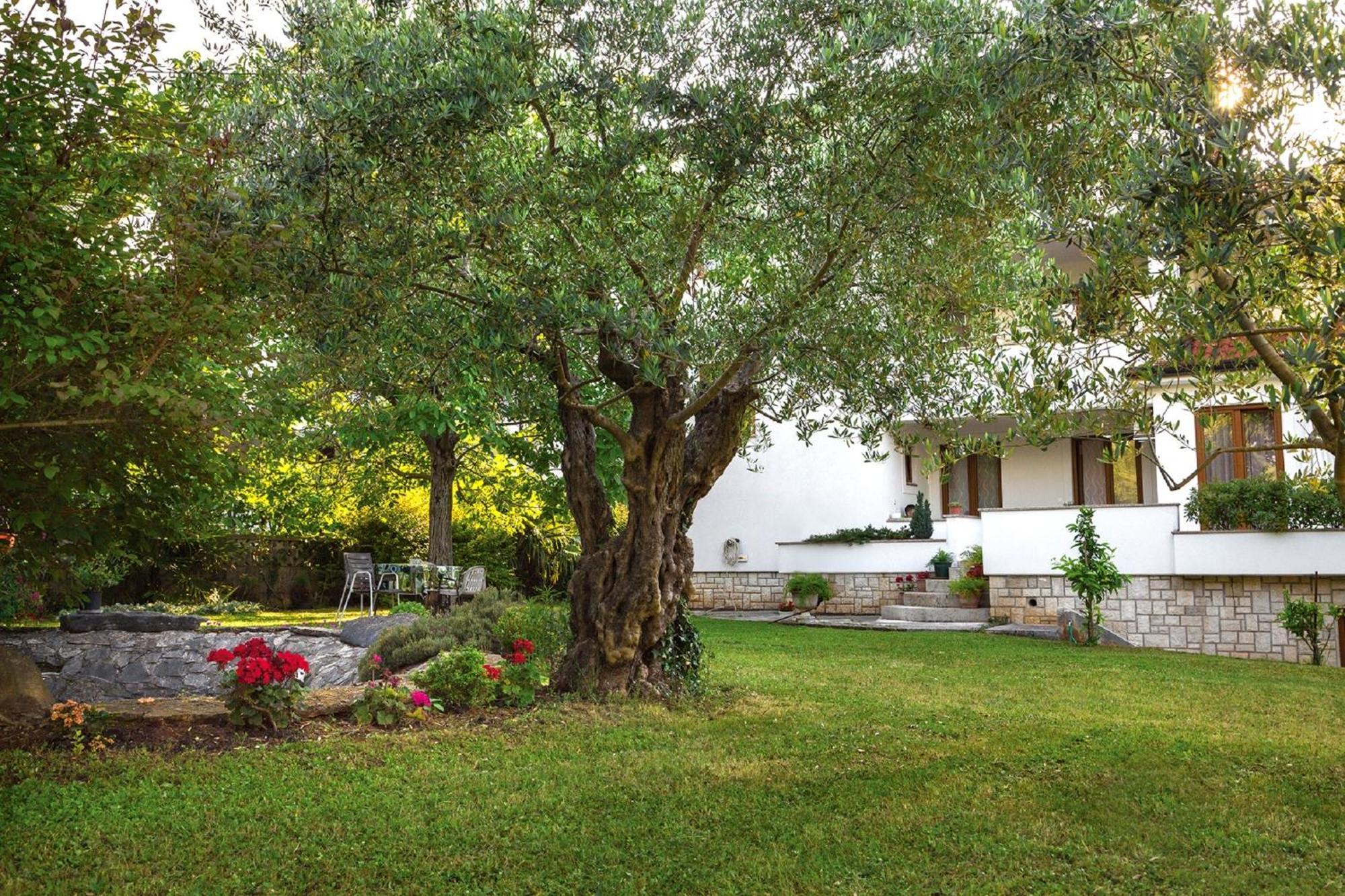 Casa Mareva Hotel Porec Exterior photo